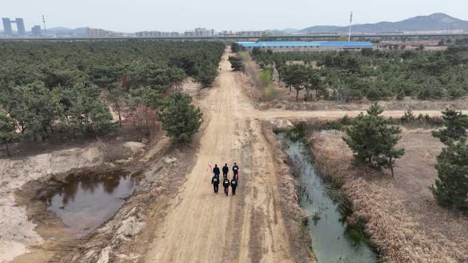 航拍威海初村北海林场的黑松林