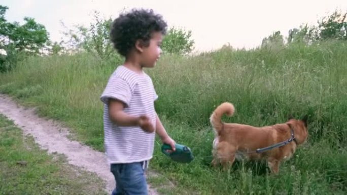 夏天和狗一起在户外散步的男孩