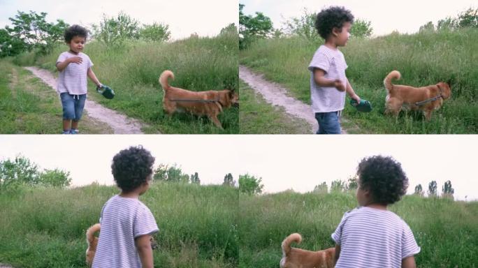 夏天和狗一起在户外散步的男孩