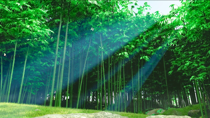 原创4K中国风唯美竹林意境竹海森林场景