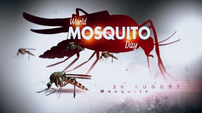 世界蚊子日8月20日