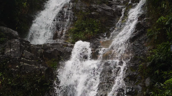 瀑布山水流水雨林