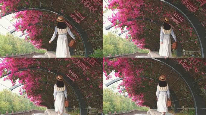 4K少女漫步在春天的勒杜鹃花海