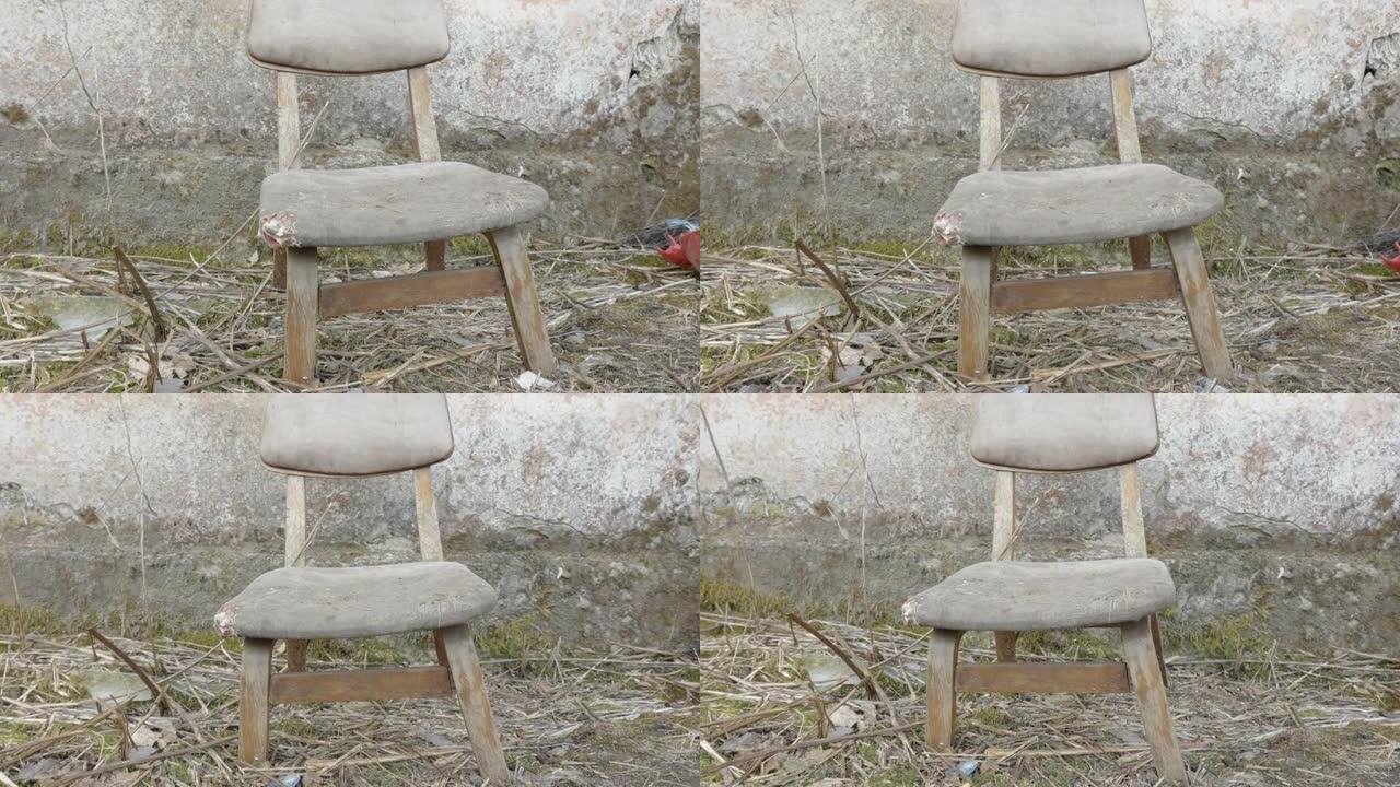 在爱沙尼亚，一把旧椅子被长期留在外面
