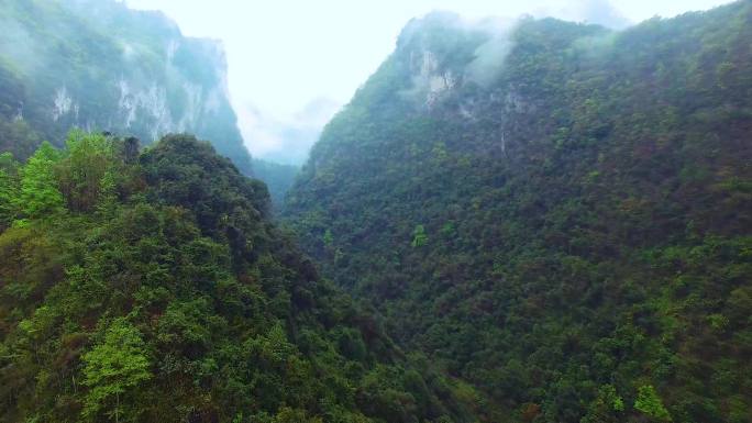 荔波山水风光