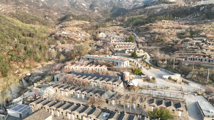 航拍春暖花开晨光中的昆嵛山六度寺村