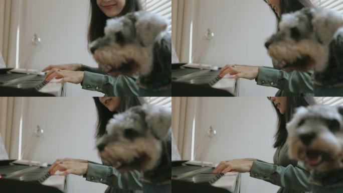 下班后，她需要与狗和音乐一起休息-股票视频