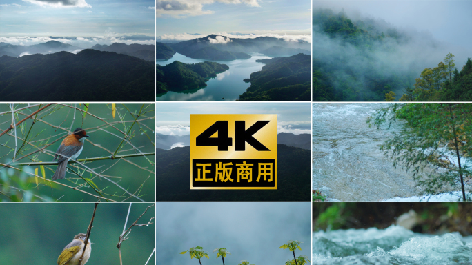 4k自然风景 山河壮丽 航拍青山森林山水