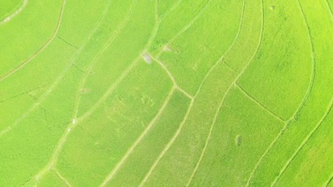 无人机从越南很高的朗森 (Lang Son) 到巴森 (Bac Son) 看到的绿色水稻梯田。