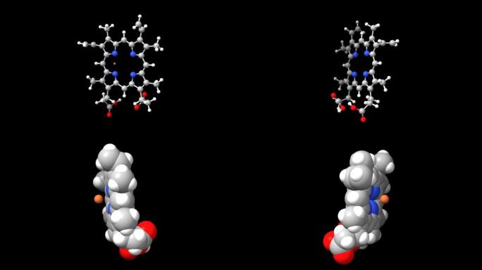 血红素B的动画3D球棒和太空模型