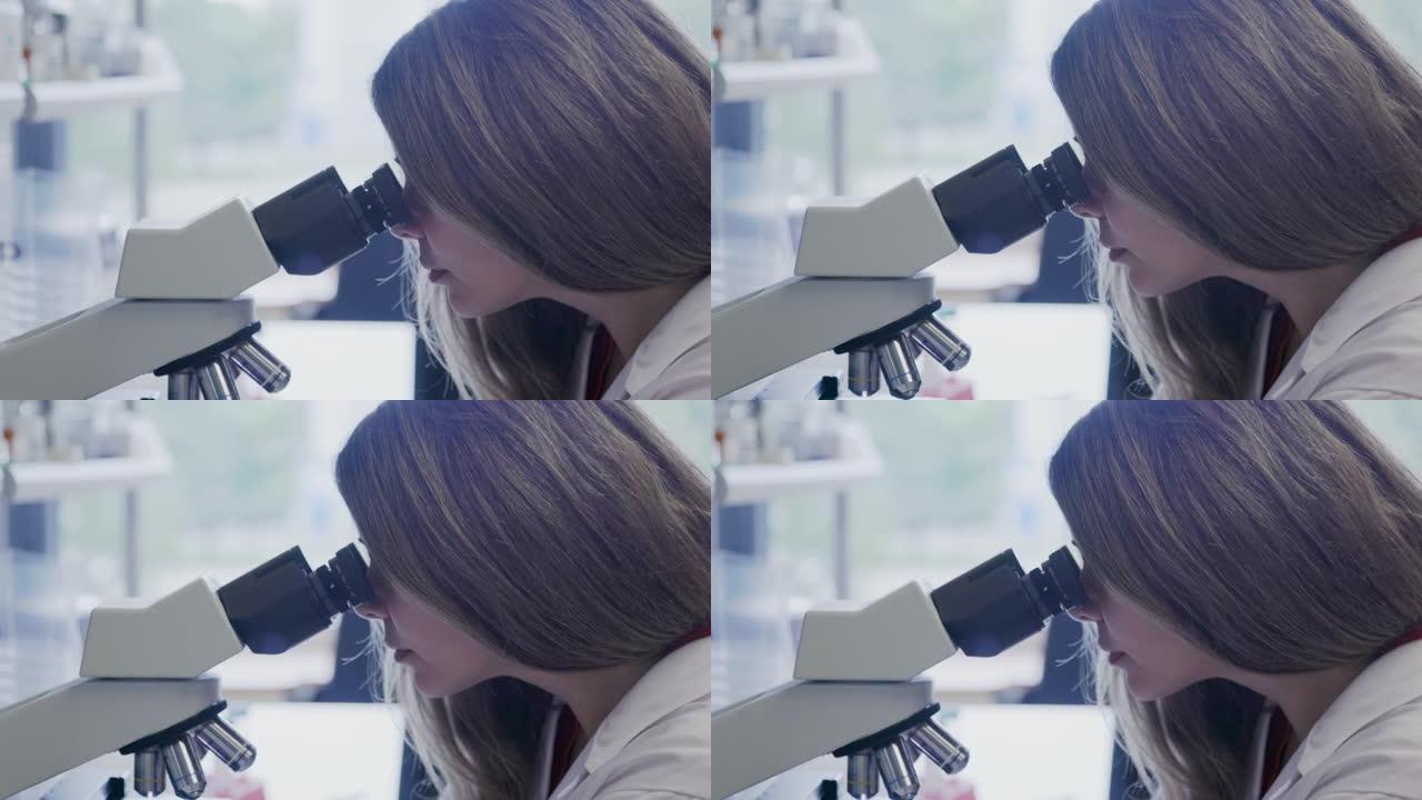 使用显微镜进行培养肉检查的女科学家