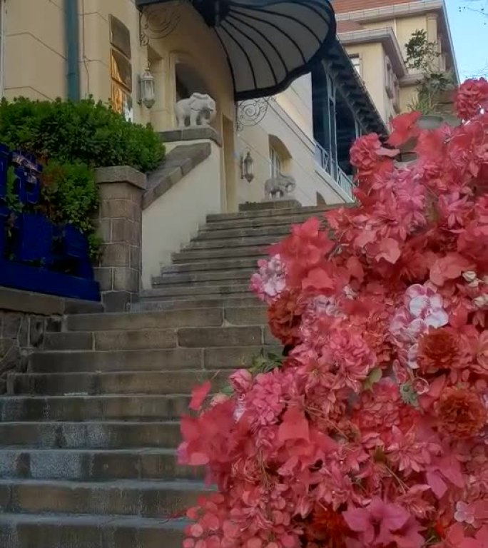 台阶  花  酒馆  街景