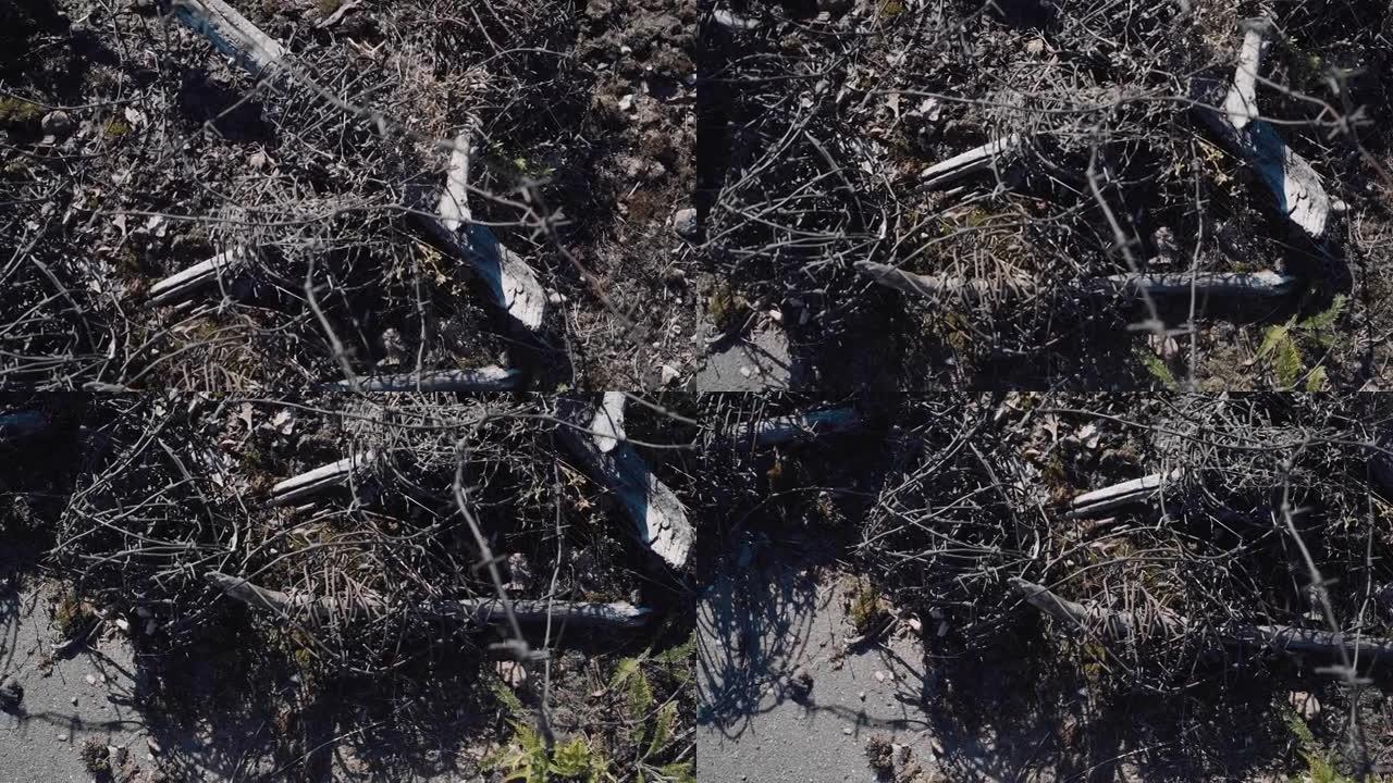 一圈旧铁丝网躺在肮脏的地面上。从上方拍摄物体