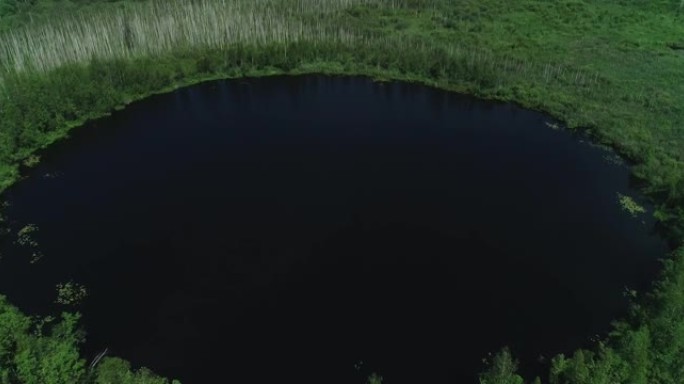 深森林圆湖，水暗。完美圆形的小湖。鸟瞰图4k