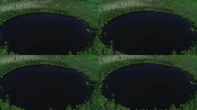 深森林圆湖，水暗。完美圆形的小湖。鸟瞰图4k