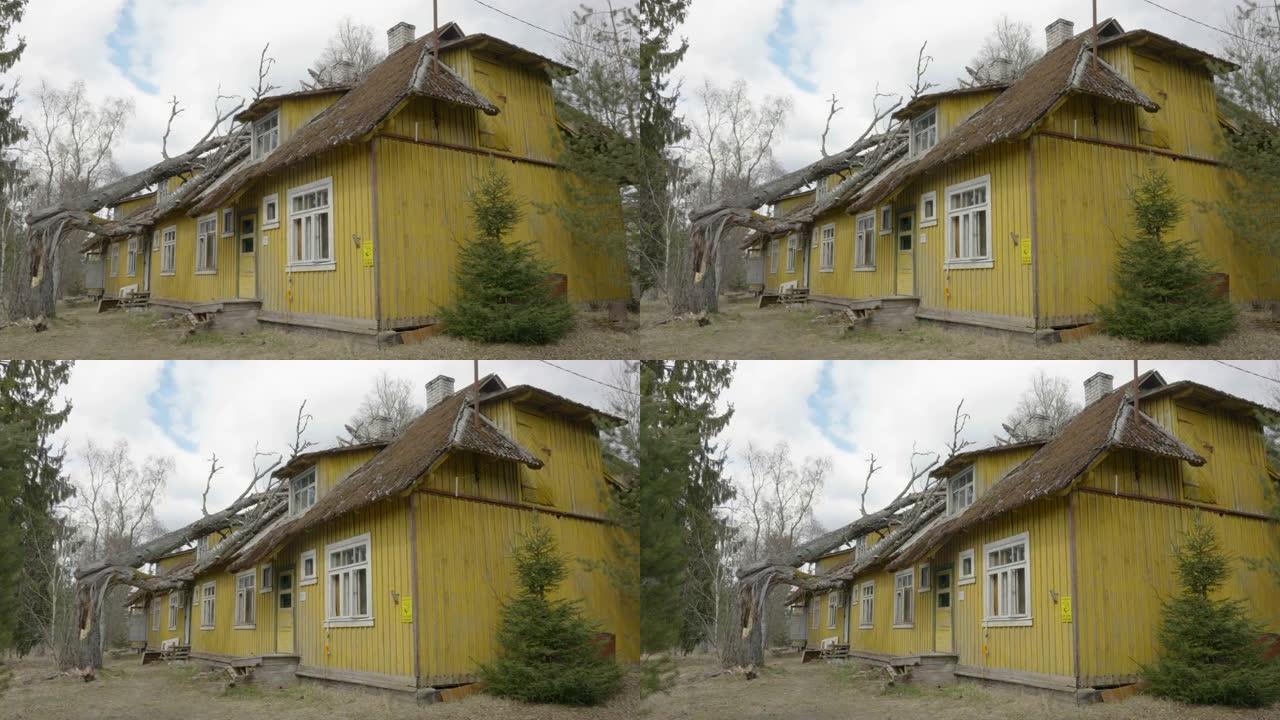 爱沙尼亚一棵老大树倒在房子的屋顶上