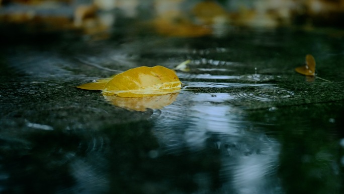 春雨下雨清明雨水春雨清明谷雨节气雨水惊蛰