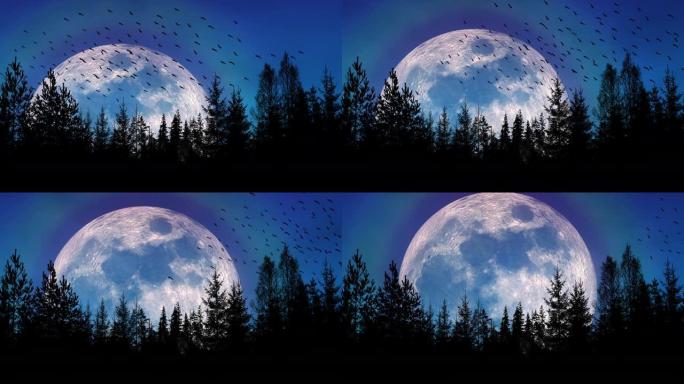 迁徙的鸟类飞过一个巨大的月亮，越过森林的轮廓