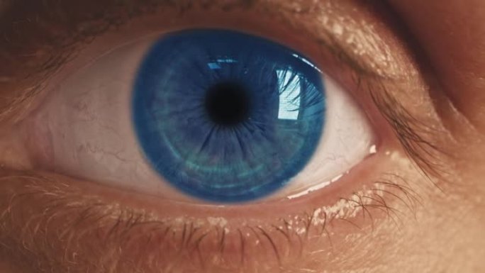 蓝眼是虹膜和瞳孔的极端特写，变宽变细。