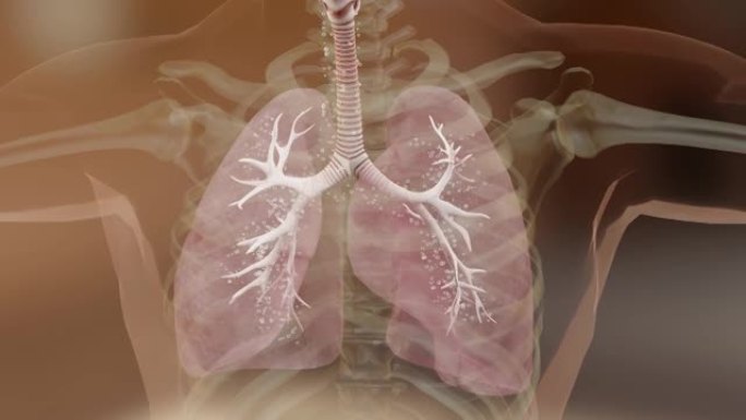 哮喘症状，治疗，细支气管，哮喘吸入器，哮喘发作，3d渲染