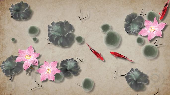 水墨荷花锦鲤蜻蜓动画含ae合成