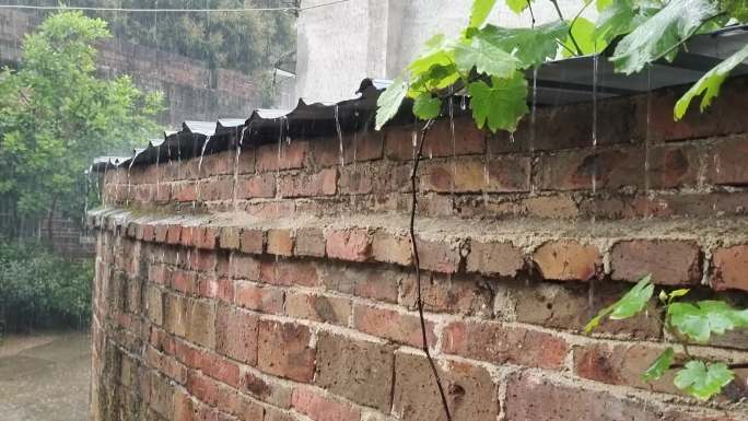 乌云密布 大雨中的民居大雨中的绿色植物