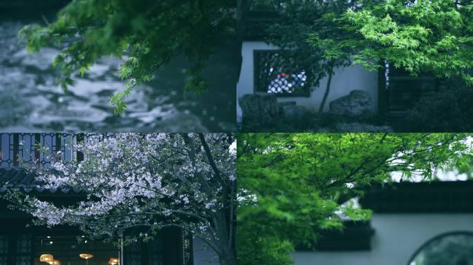 杭州西湖中式庭院唯美国风意境4k视频素材