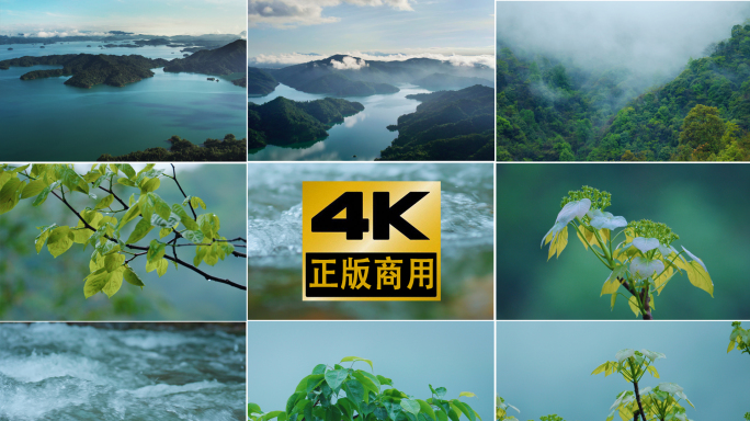 4k航拍山水 下雨天自然风景雨后清新绿植