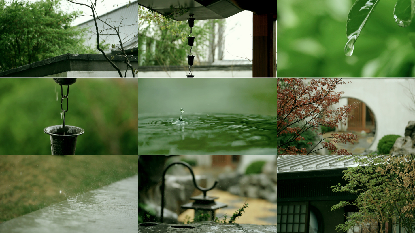 禅意意境雨景雨滴谷雨惊蛰清明雨水下雨春雨