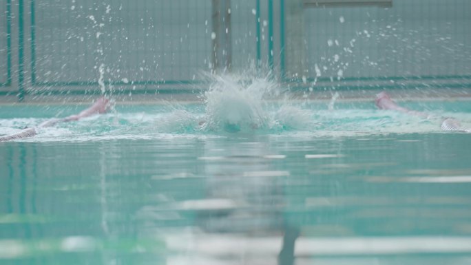 游泳运动员跳入游泳池蝶泳体育比赛努力