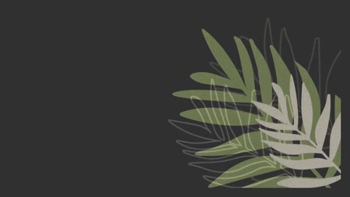 棕榈叶自然柔和颜色的抽象摇摆和弯曲轮廓设置在黑暗的背景下。社交媒体的基础模板，横幅，背景。复制空间。