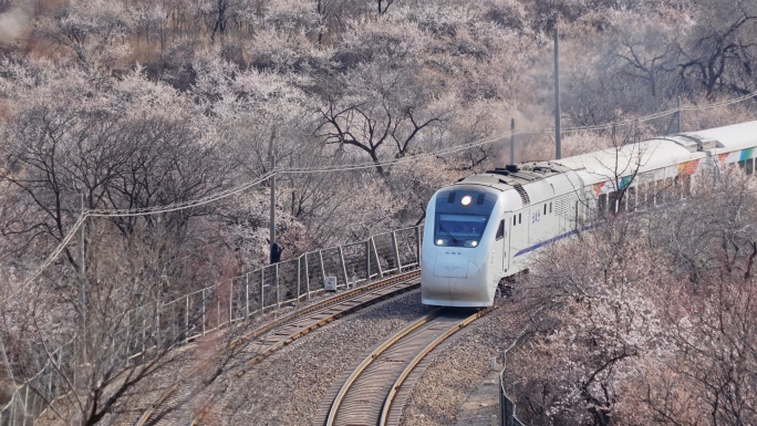 天下第一雄关居庸关花海列车