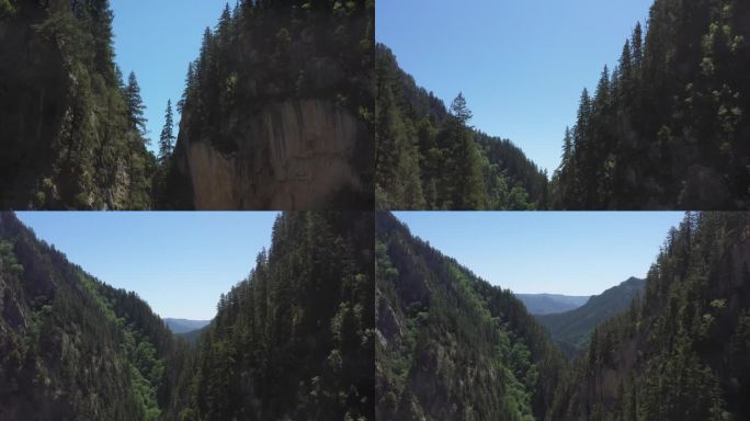 陡峭岩壁爬升生态林场航拍