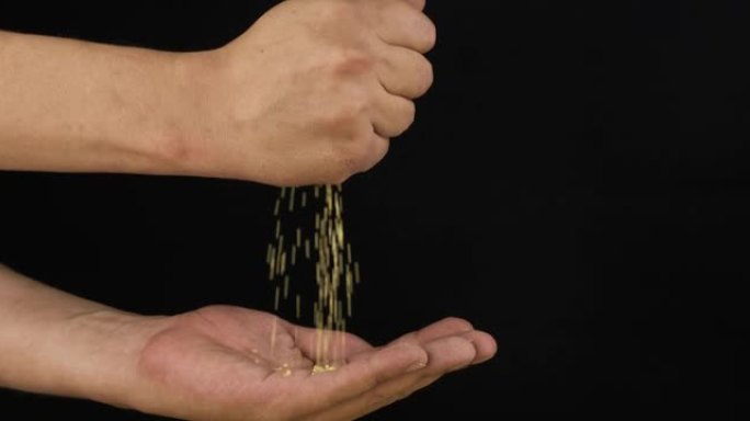 人的手在手掌中握着一堆小米种子。