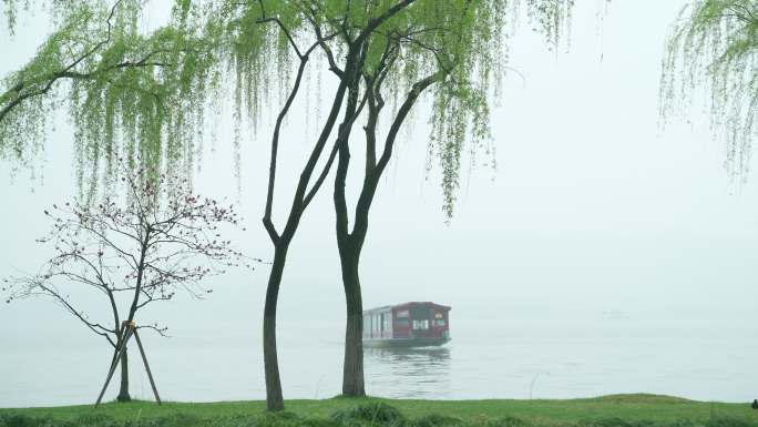 杭州西湖春天清明节雨天柳树与游船