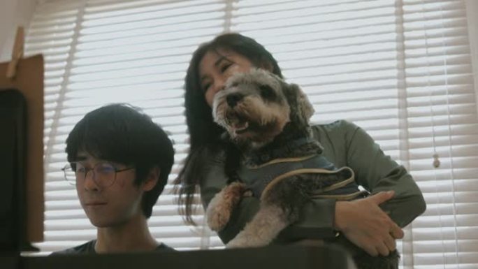 少年儿子在客厅的妈妈和狗旁边弹电钢琴-股票