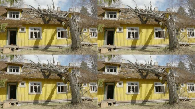 爱沙尼亚窗户破的黄色大房子的外观