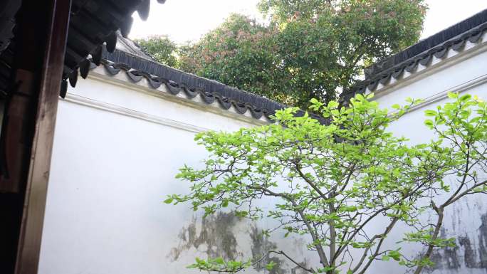 世界遗产苏州园林耦园江南中式庭院古典建筑