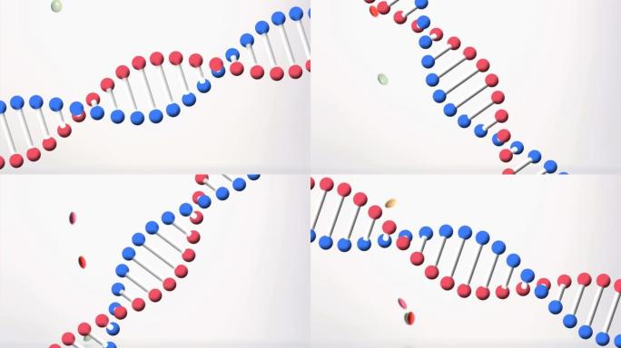 旋转3d dna链的动画，带有掉落的彩色药丸，在白色背景上