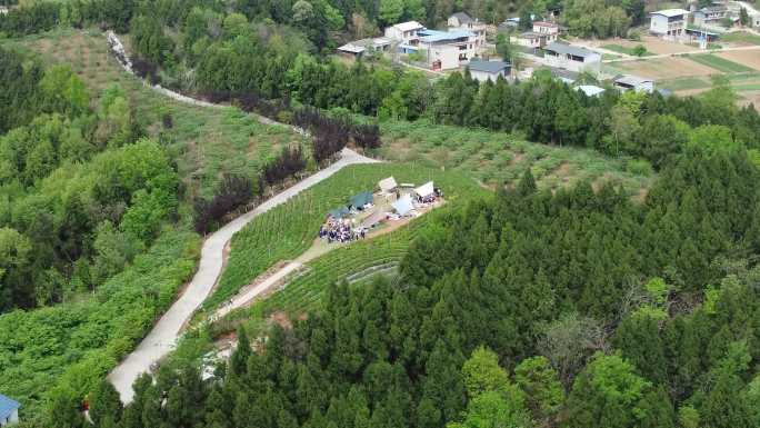 四川德阳中江县天鹅山生态园航拍