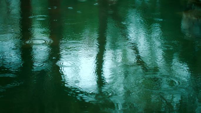 初春的小雨-雨滴湖面水面下雨湖面