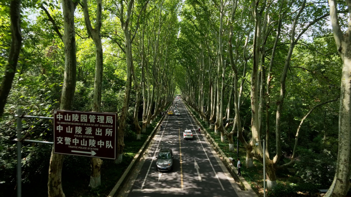 南京紫金山景点