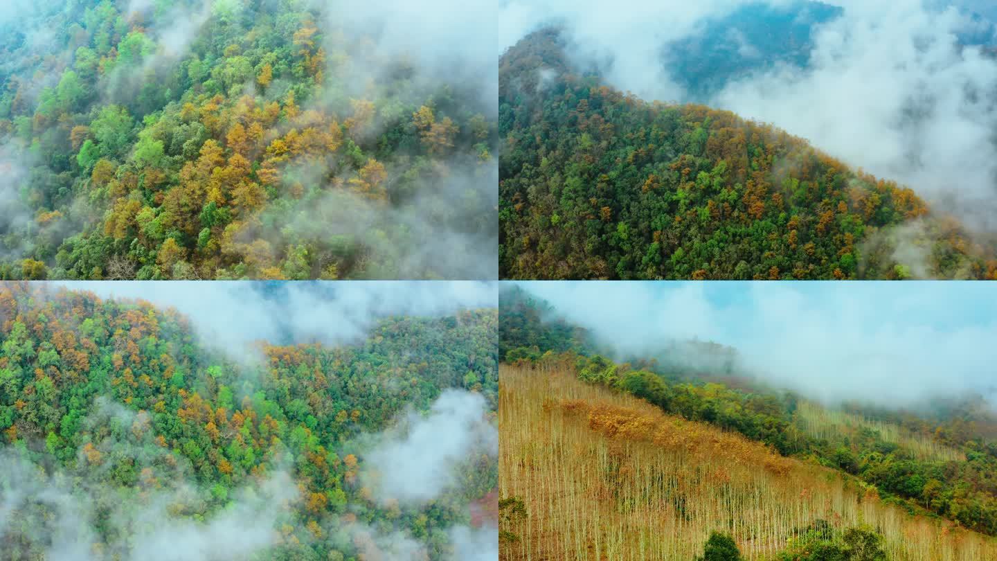 航拍大山森林云雾自然记录片生态原始森林
