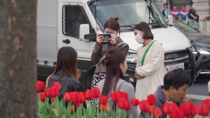 上海外滩郁金香赏花拍照攻略-100帧