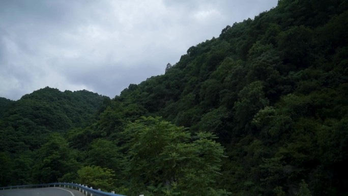 行驶的车窗外风景