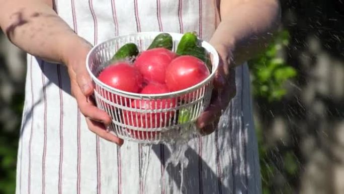 女人把西红柿蔬菜放在碗里。在夏季，将水倒入户外慢动作的新鲜番茄堆中。洗蔬菜。在流水下冲洗有机番茄。生