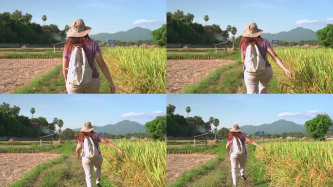 亚洲女子在一个非都市农业场景下，在稻穗和收割稻谷之间的稻田田脊上行走，奔跑跳跃，泰国北部带着激动的心