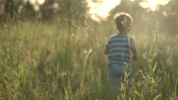 慢动作小男孩在夏天的田野里，带着美丽的日落光线，从相机里穿过高高的草地。童梦，快乐的童年，自由的观念