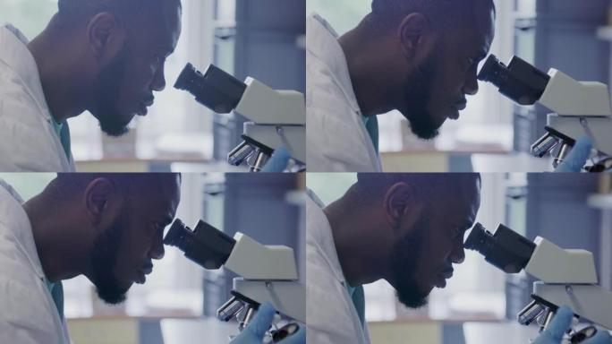 使用显微镜进行培养肉检查的男性科学家