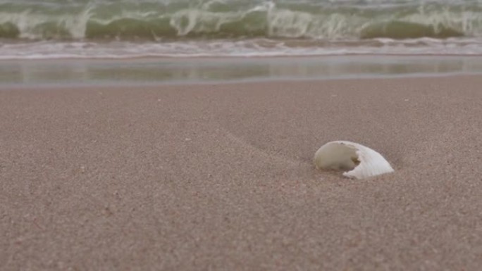 用贝壳关闭在沙滩上破碎的干净海浪的侧面角度。沙滩上的小浪为复制空间。白天的海浪。